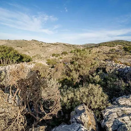 게스트하우스 Art Kefalonia