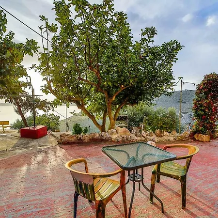 ゲストハウス Art Kefalonia