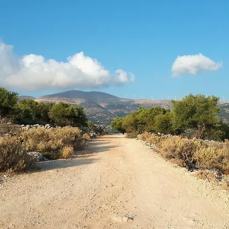 Art Kefalonia 招待所