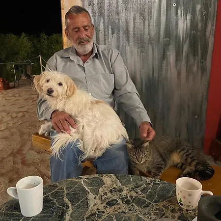 Art Kefalonia Gæstehus