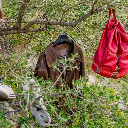 Art Kefalonia Konukevi